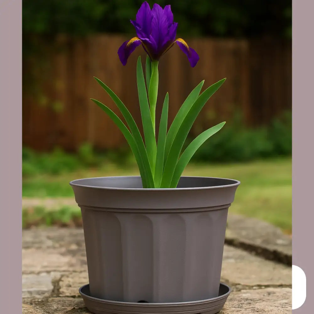 Pot de fleur marron plastique