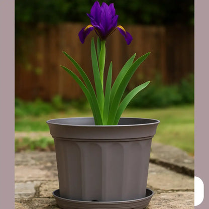 Pot de fleur marron plastique