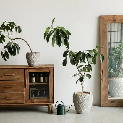 Pot de fleur moderne