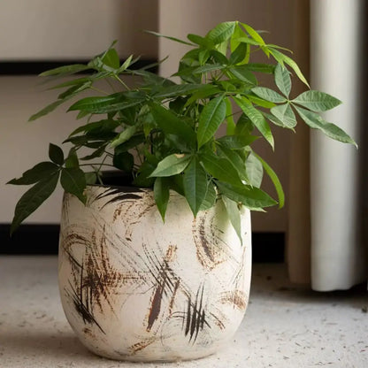 Pot de fleur moderne intérieur