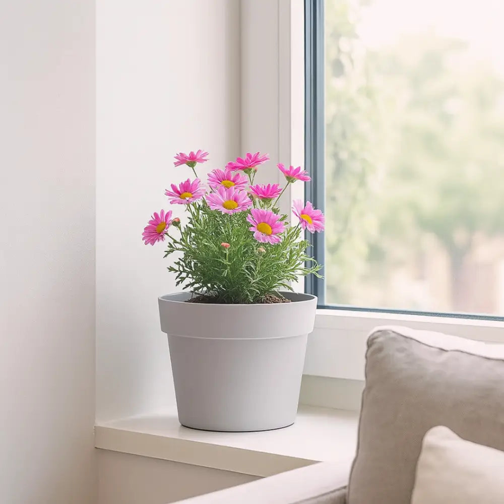 Pot de fleur plastique 20 cm