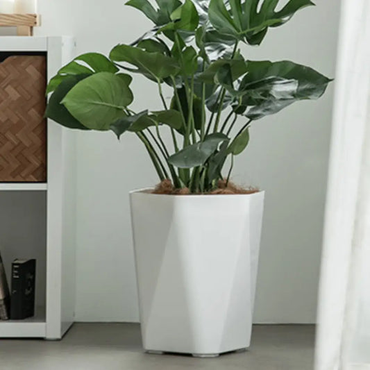 Pot de fleur plastique blanc