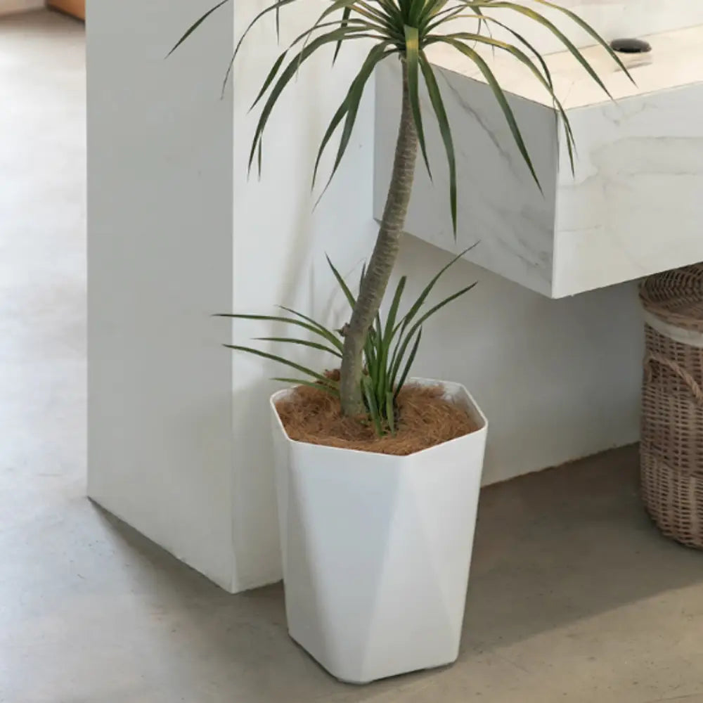 Pot de fleur plastique blanc