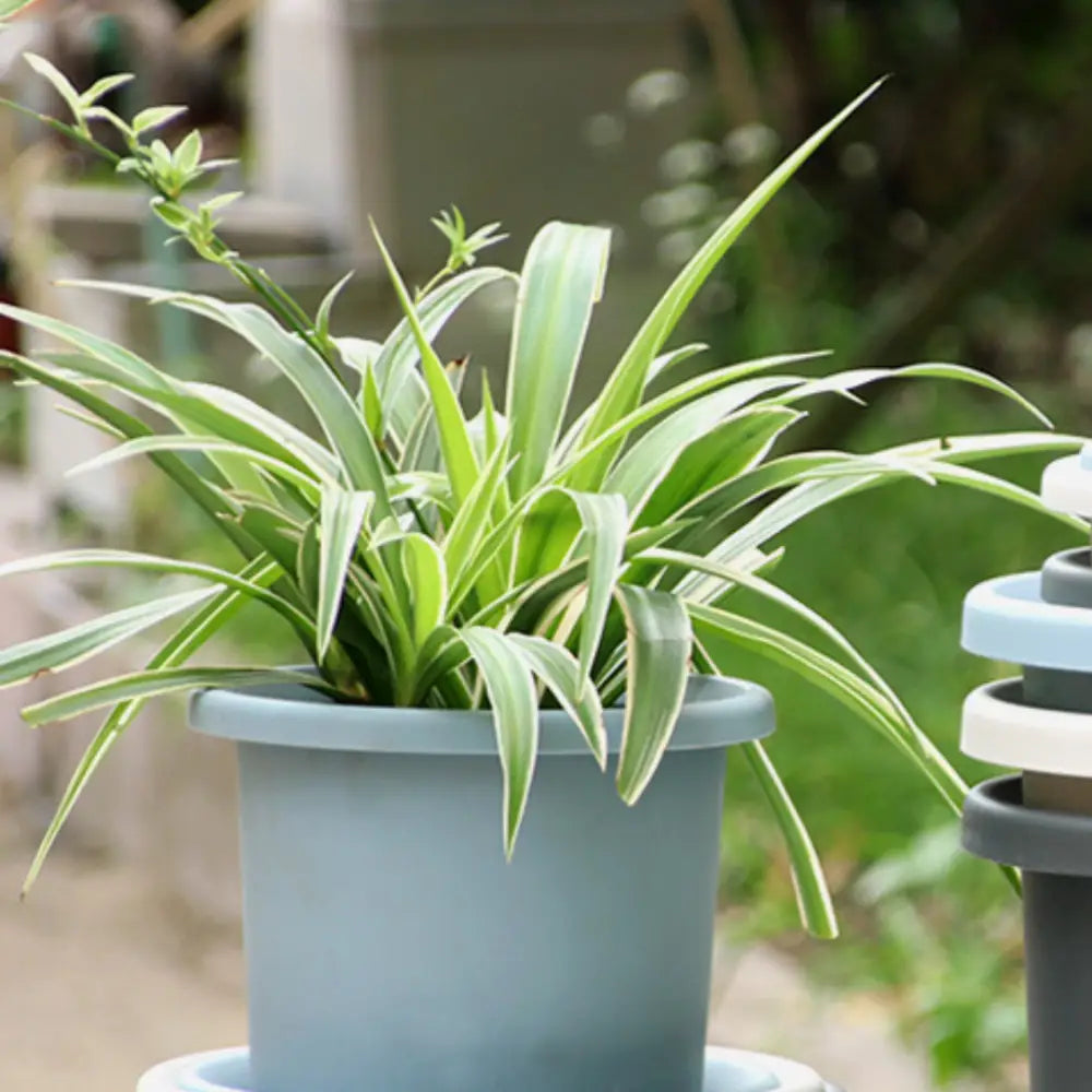 Pot de fleur plastique bleu