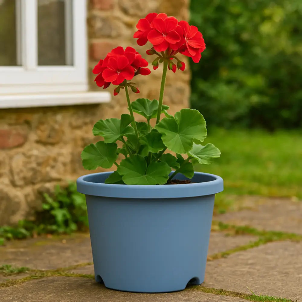 Pot de fleur plastique bleu