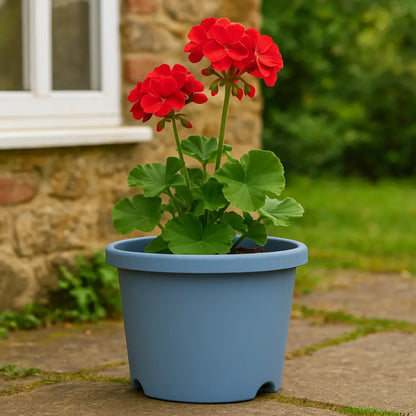Pot de fleur plastique bleu