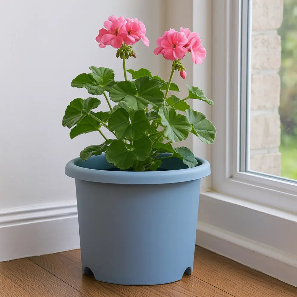 Pot de fleur plastique bleu