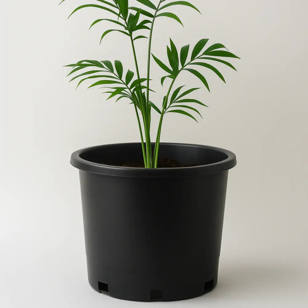 Pot de fleur plastique grande taille