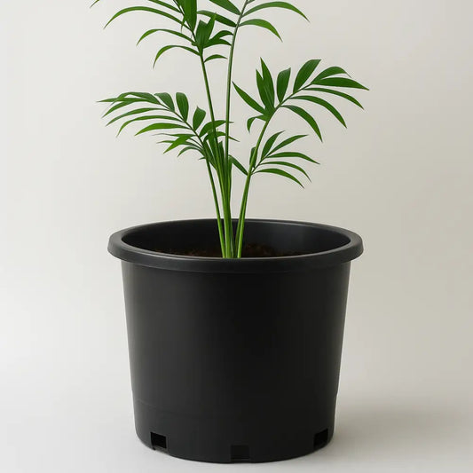 Pot de fleur plastique grande taille