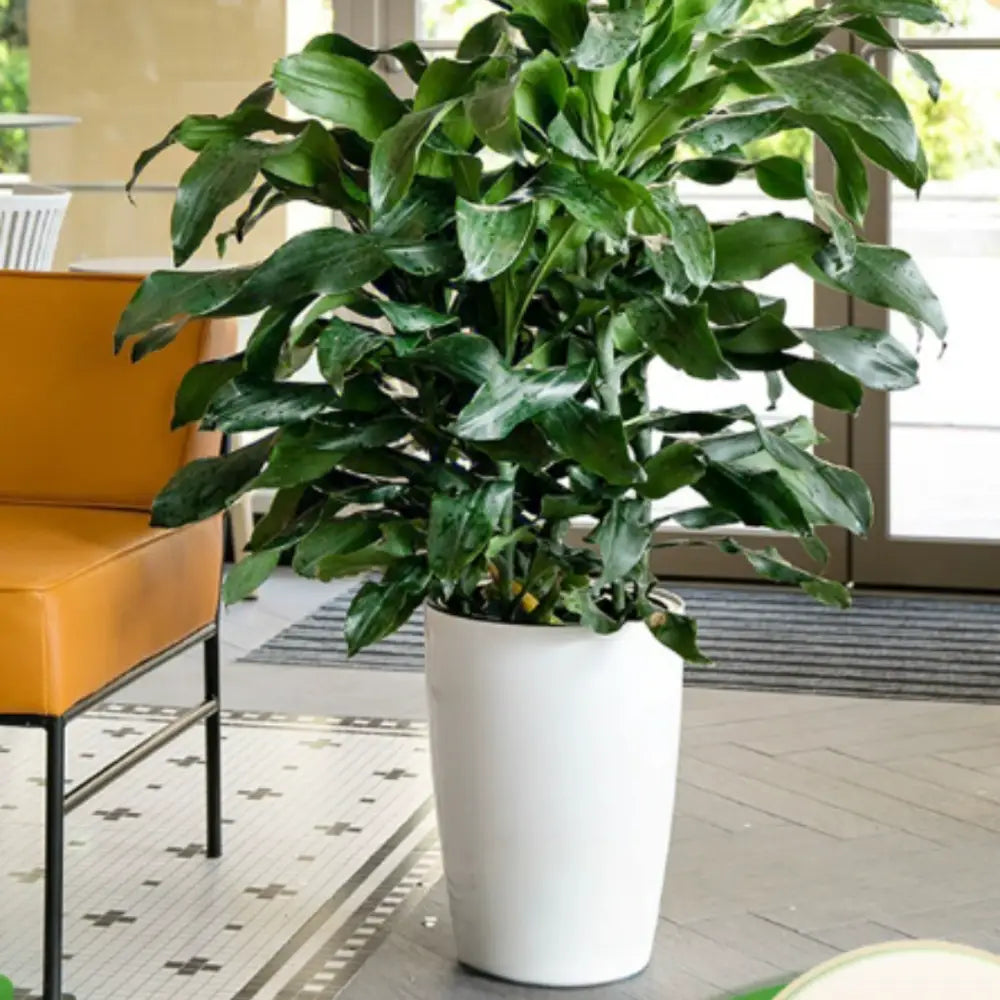 Pot de fleur plastique grande taille pas cher