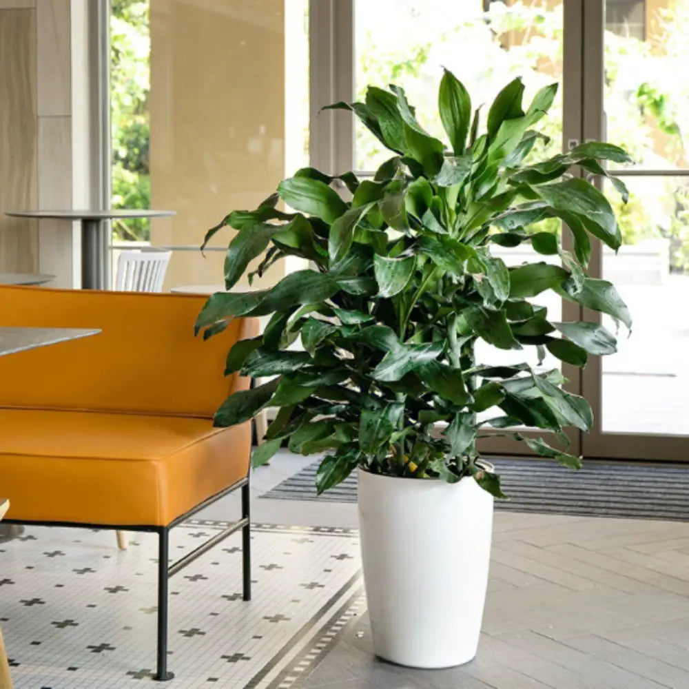 Pot de fleur plastique grande taille pas cher