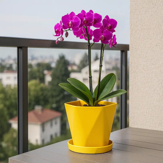 Pot de fleur plastique jaune
