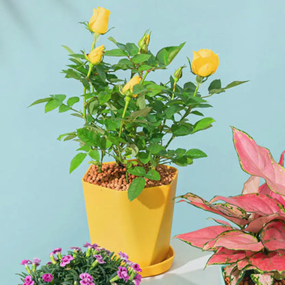 Pot de fleur plastique jaune