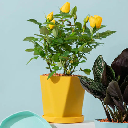 Pot de fleur plastique jaune