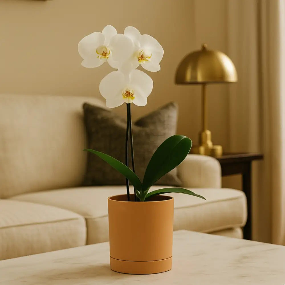 Pot de fleur plastique orange