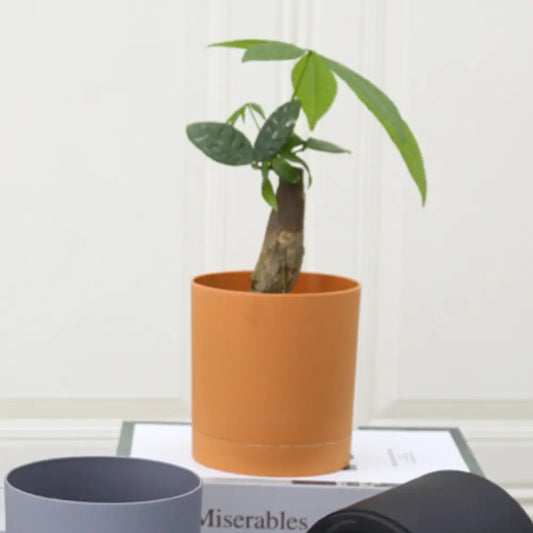 Pot de fleur plastique orange