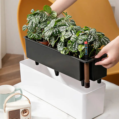 Pot de fleur plastique rectangulaire