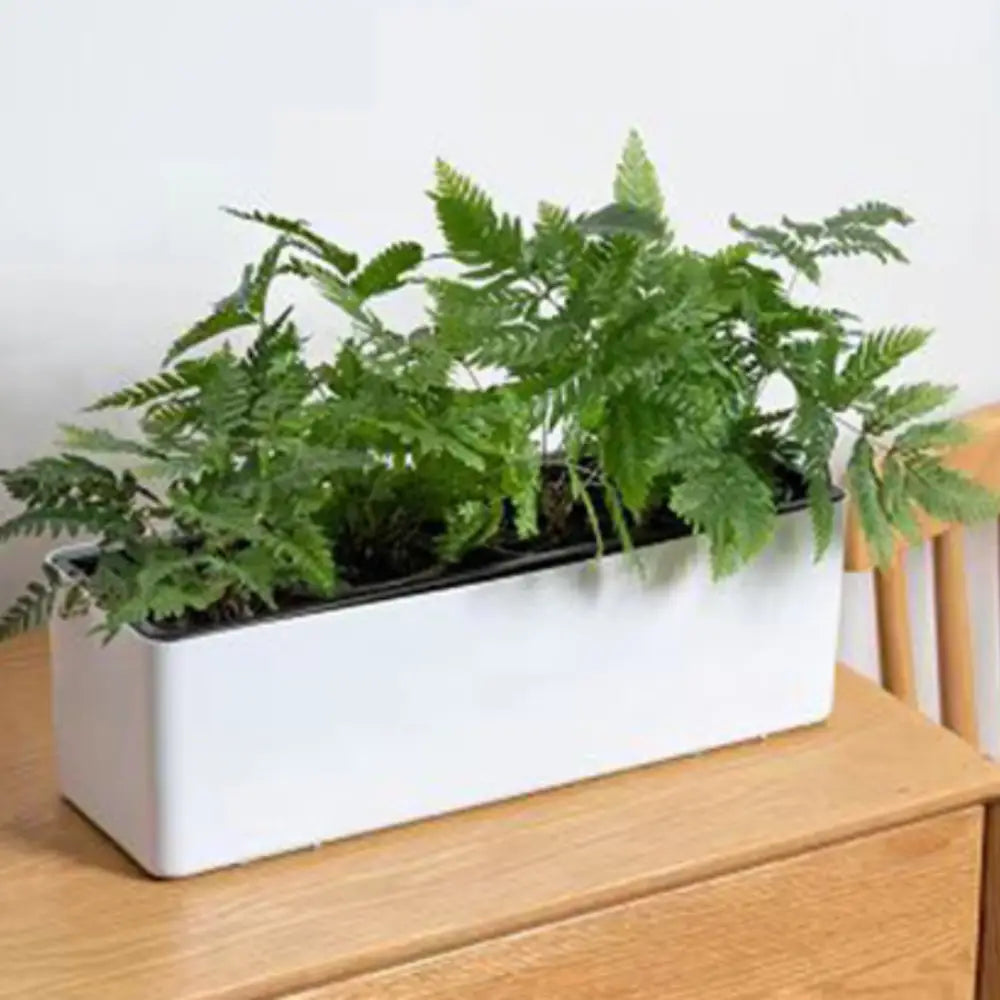 Pot de fleur plastique rectangulaire