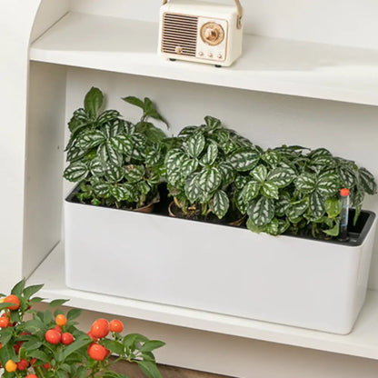 Pot de fleur plastique rectangulaire