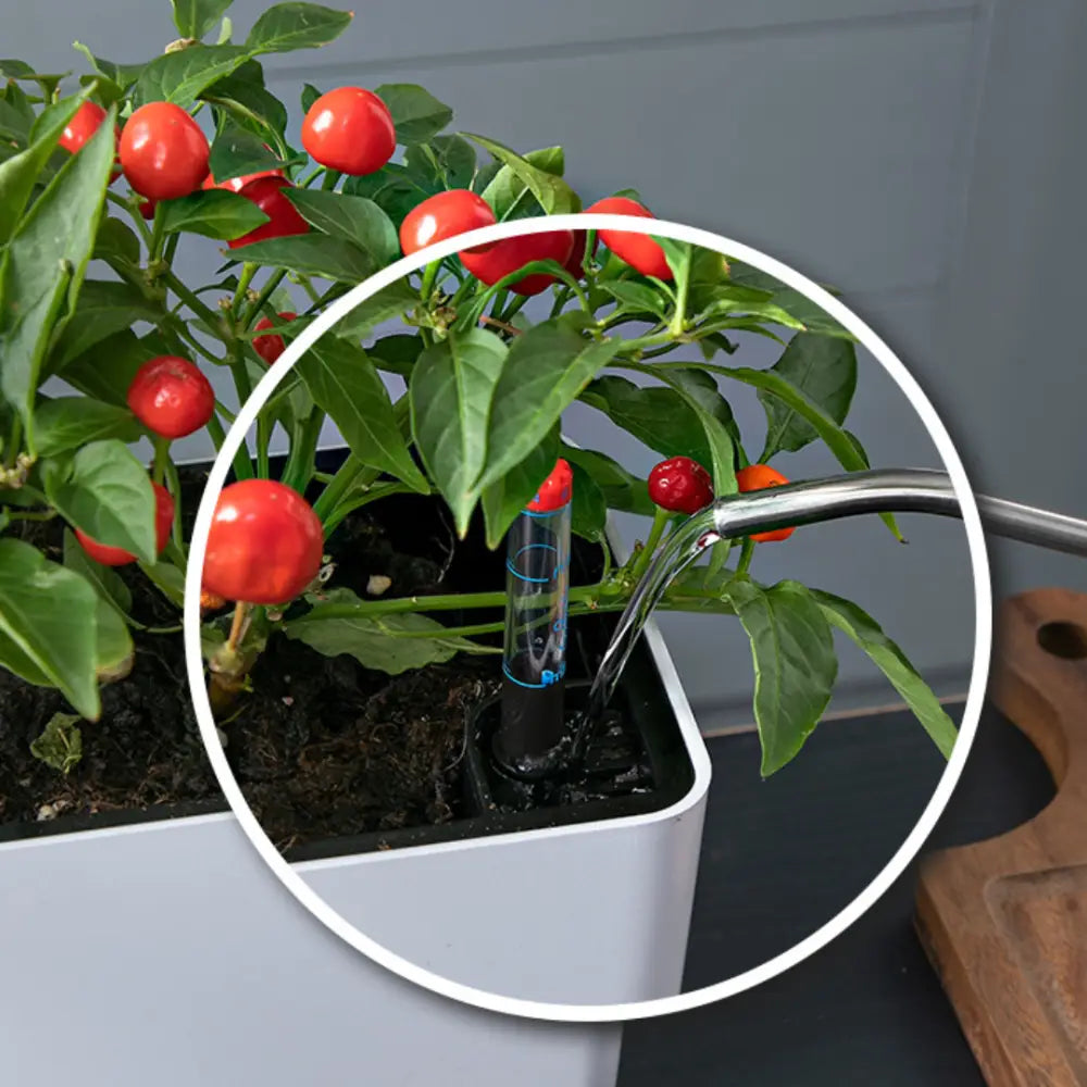 Pot de fleur plastique rectangulaire