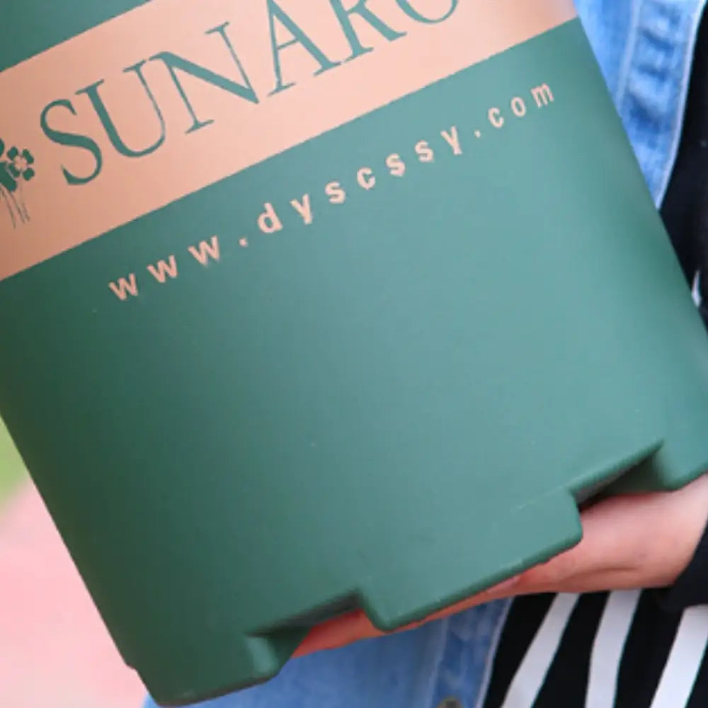 Pot de fleur plastique vert