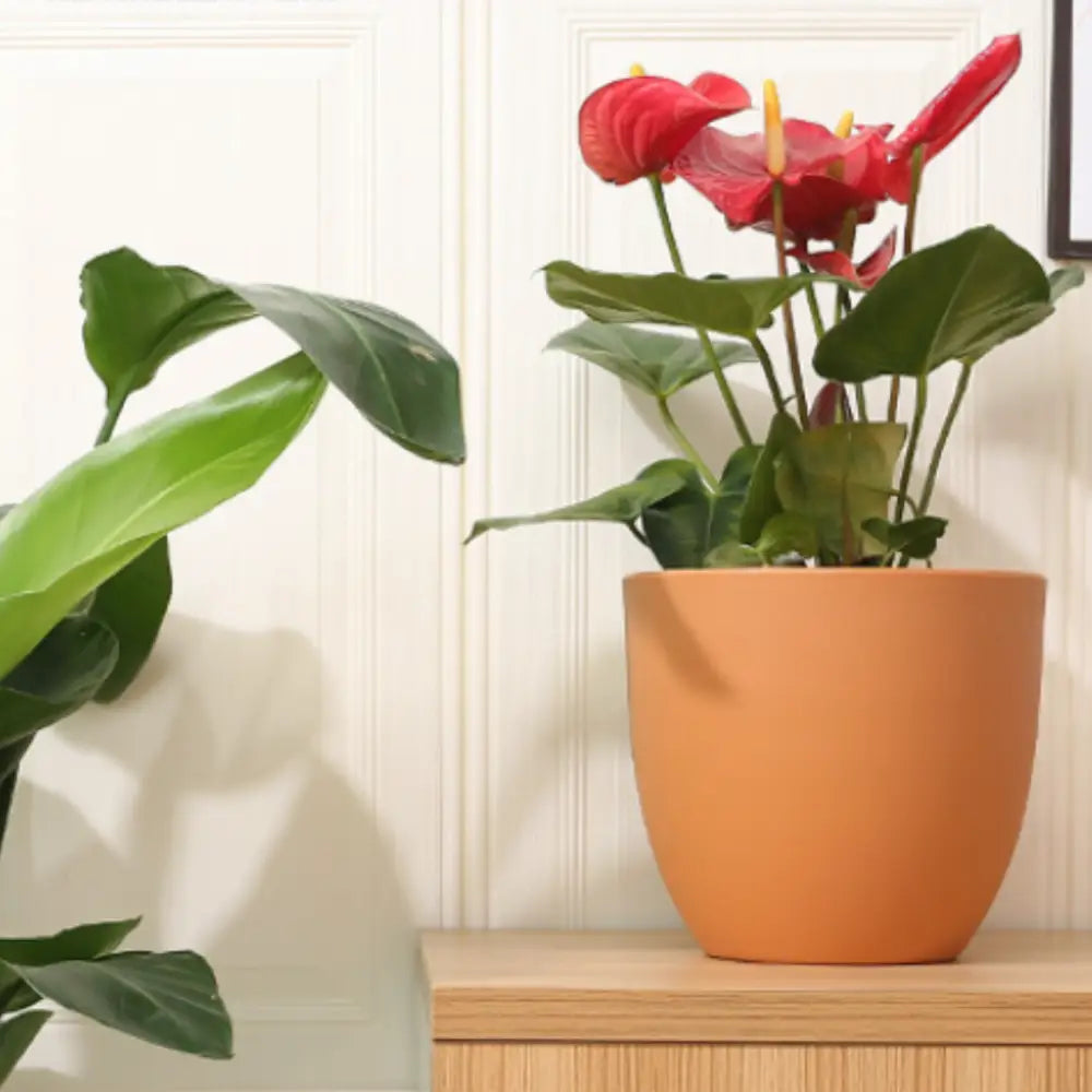 Pot de fleur rond plastique