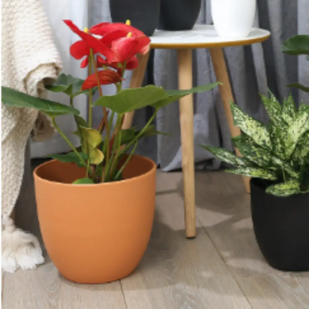 Pot de fleur rond plastique