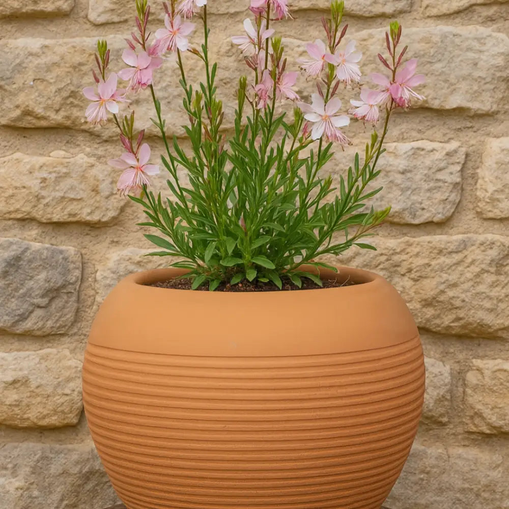 Pot de fleur rond terre cuite