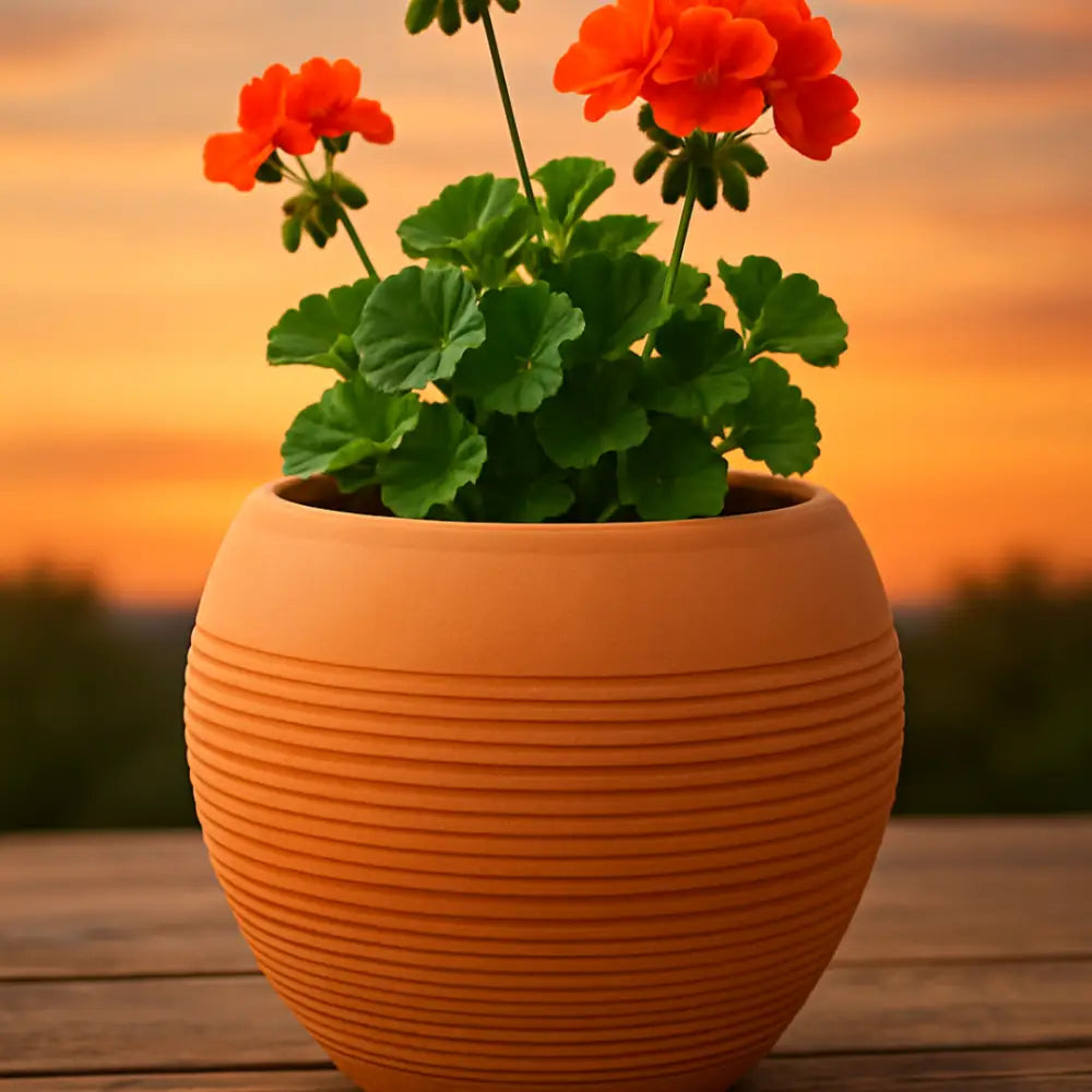 Pot de fleur rond terre cuite