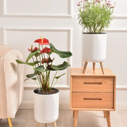 Pot de fleur sur pied blanc