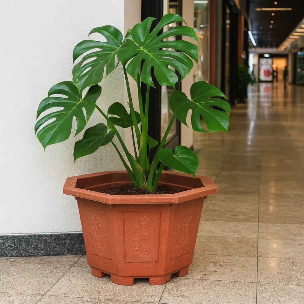 Pot de fleur sur pied extérieur