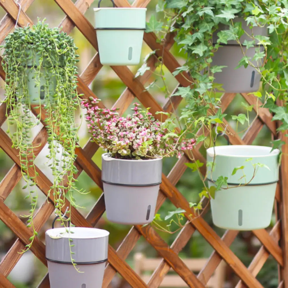 Pot de fleur suspendu avec réserve d'eau