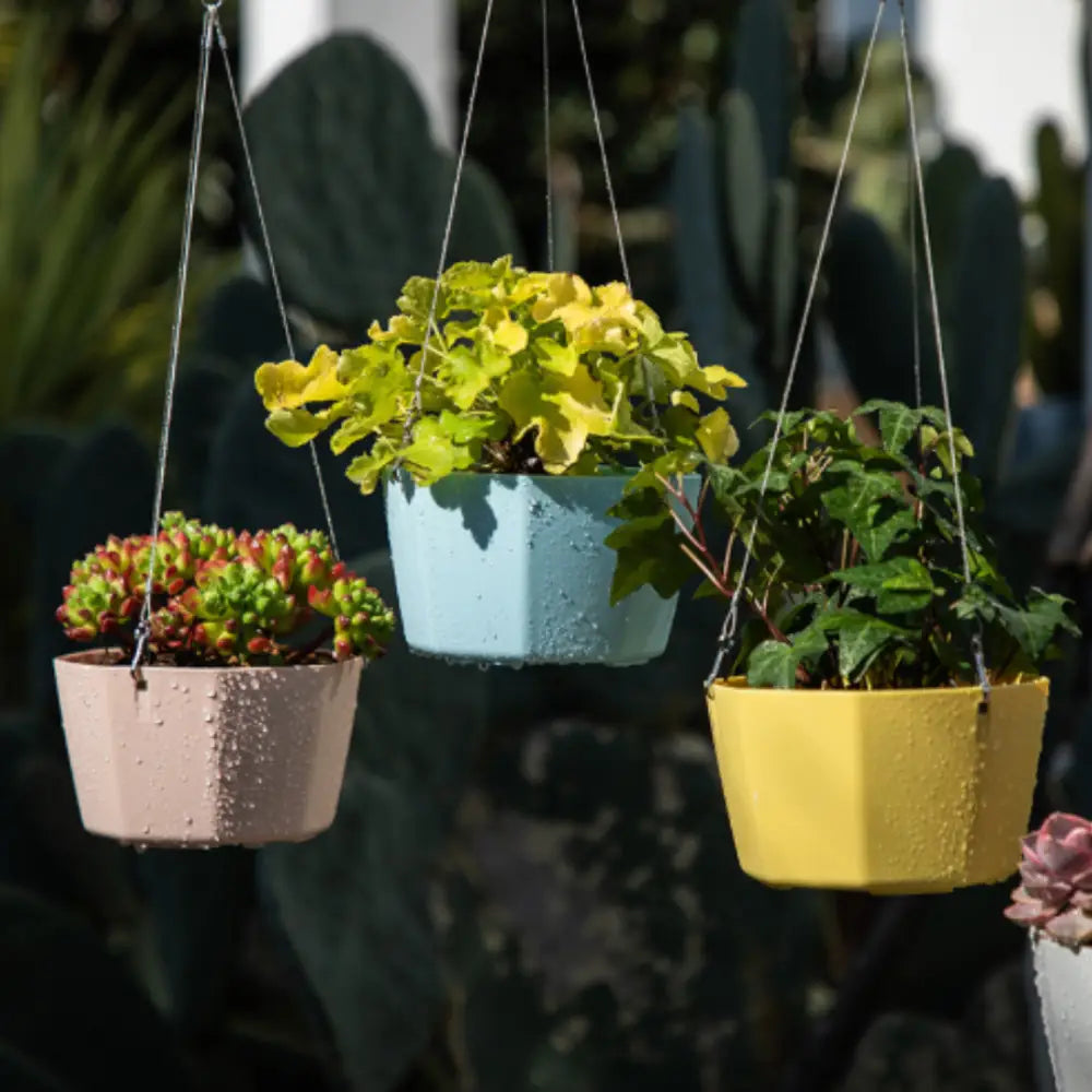 Pot de fleur suspendu couleur