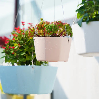 Pot de fleur suspendu couleur