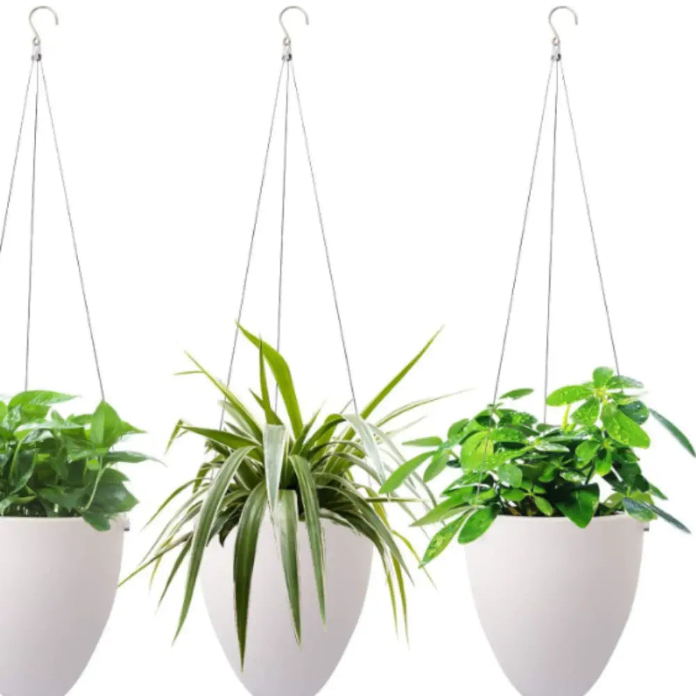 Pot de fleur suspendu cuisine