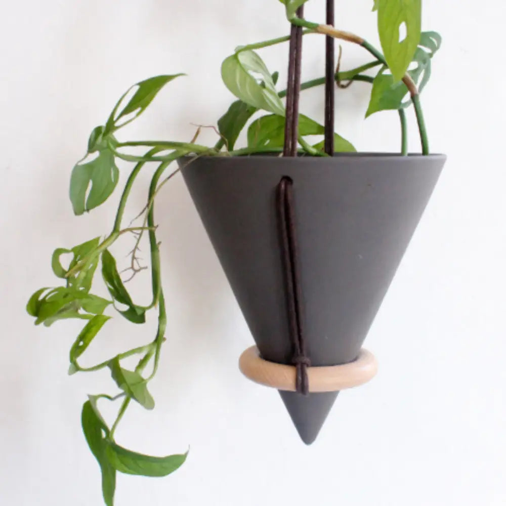 Pot de fleur suspendu design