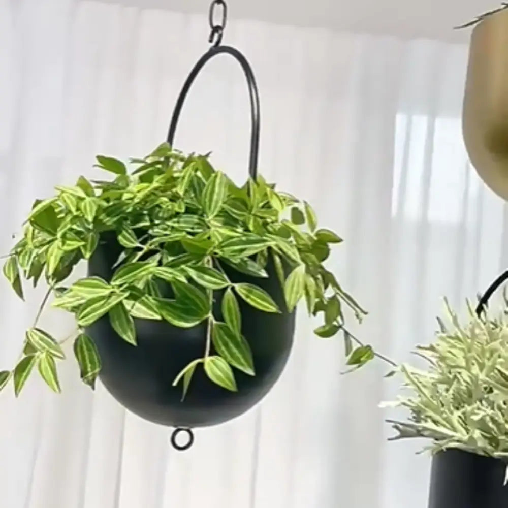 Pot de fleur suspendu intérieur