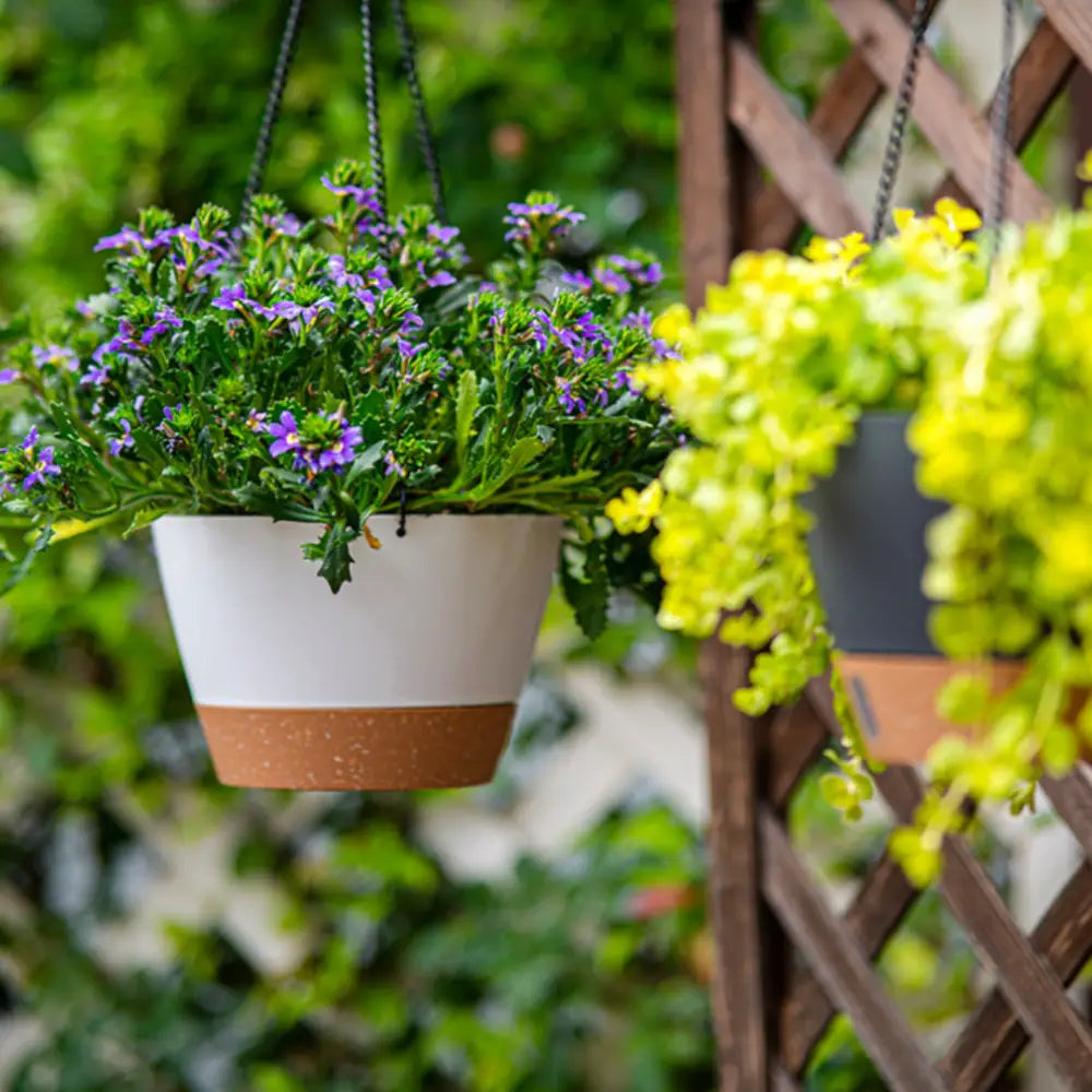 Pot de fleur suspendu pas cher