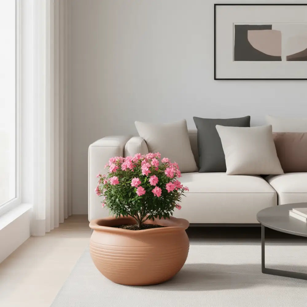 Pot de fleur terre cuite 15 cm