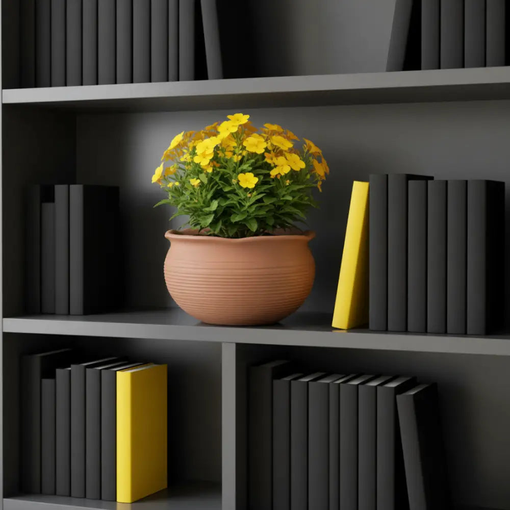 Pot de fleur terre cuite 15 cm