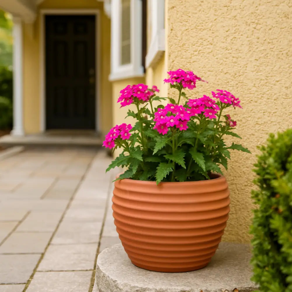 Pot de fleur terre cuite 20 cm