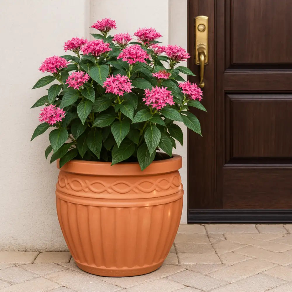 Pot de fleur terre cuite 25 cm