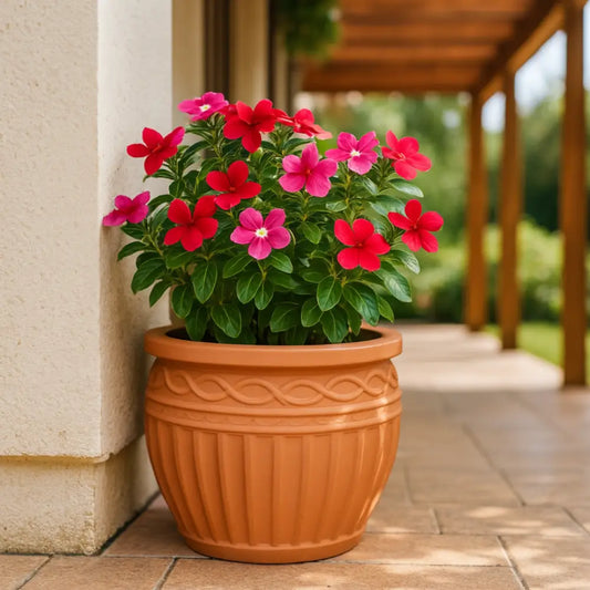 Pot de fleur terre cuite 25 cm