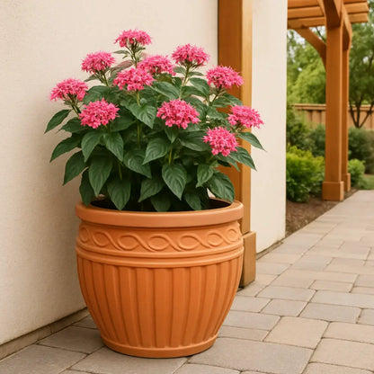 Pot de fleur terre cuite 25 cm