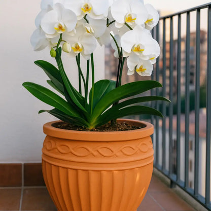 Pot de fleur terre cuite 25 cm