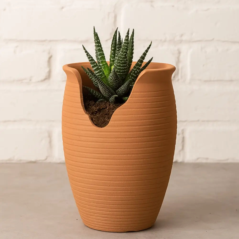 Pot de fleur terre cuite 30 cm