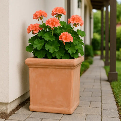 Pot de fleur terre cuite 50 cm