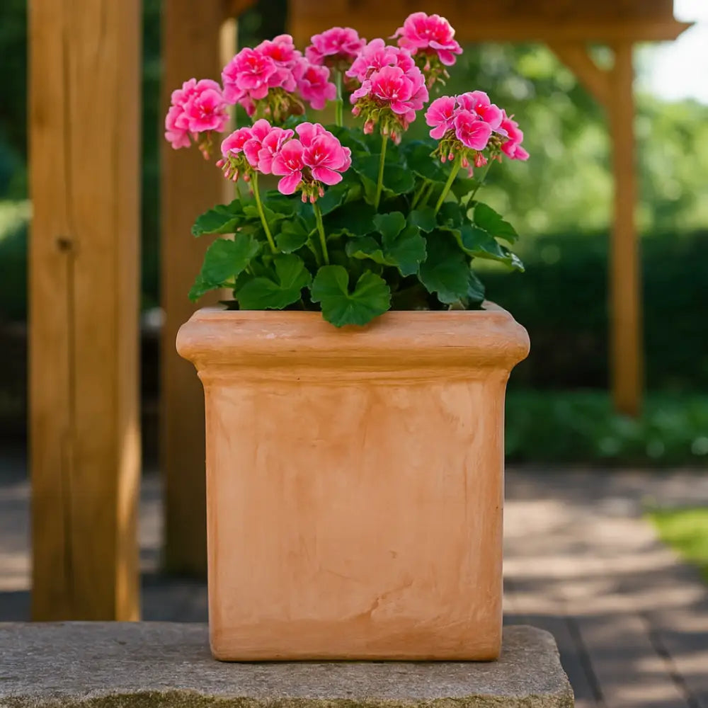 Pot de fleur terre cuite 50 cm