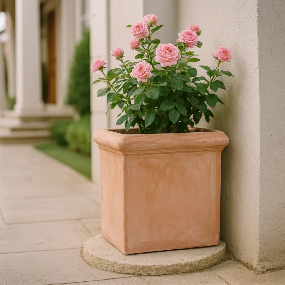 Pot de fleur terre cuite 50 cm