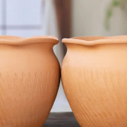 Set de 2 pot de fleur terre cuite diamètre 20